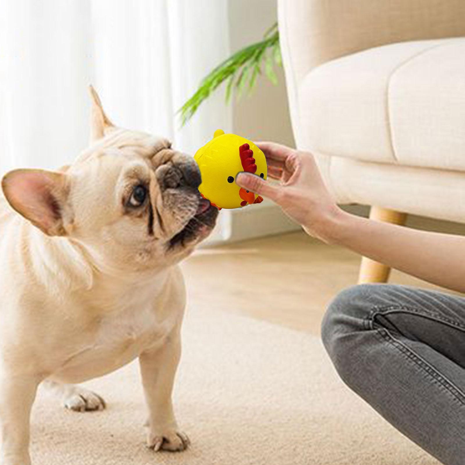 Latex Squeaky Dog Toy Training and Cleaning Interactive Dog Chew Toy