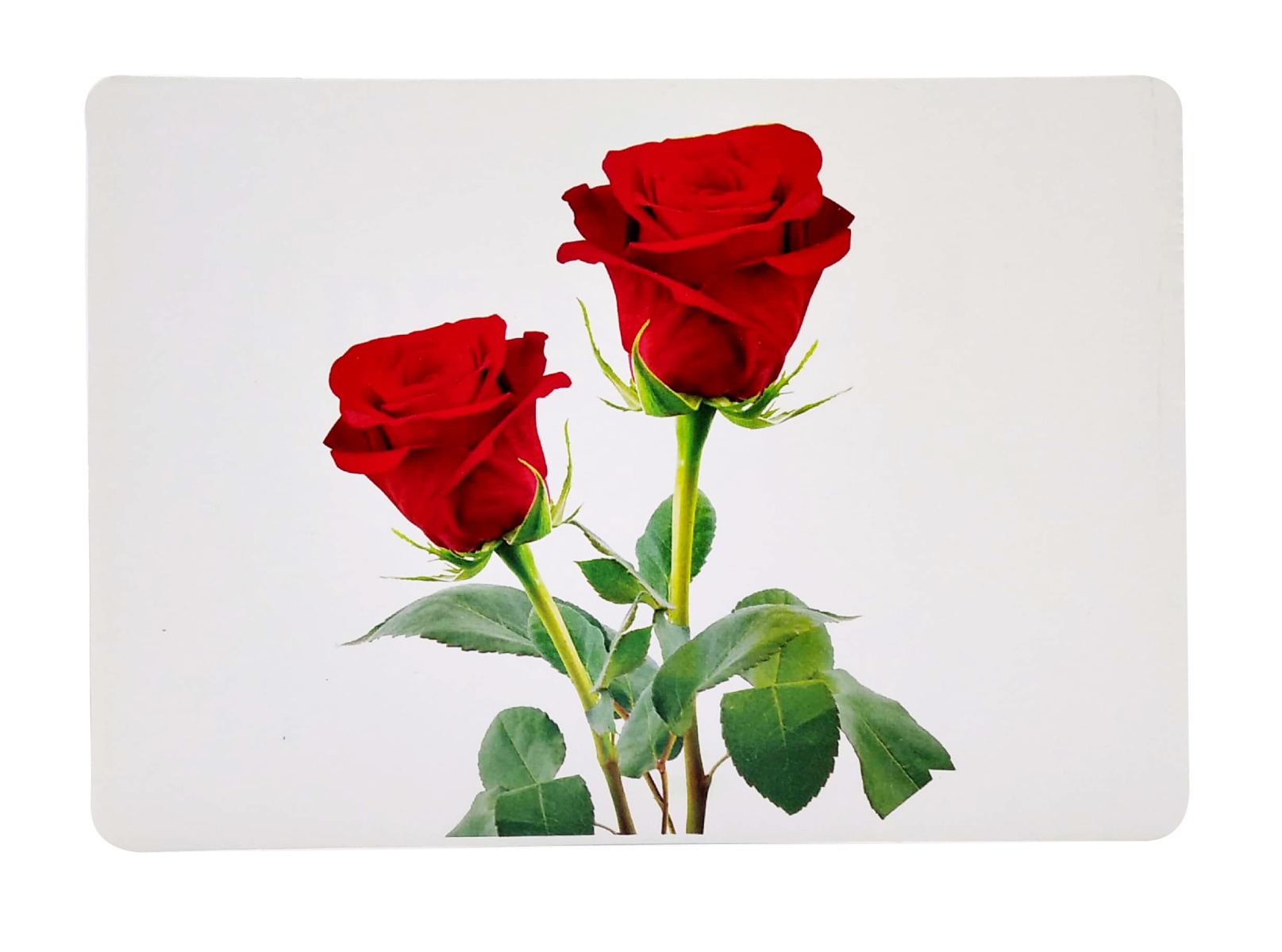 Flashcard Thế Giới Quanh Em: Các Loài Hoa - Flowers