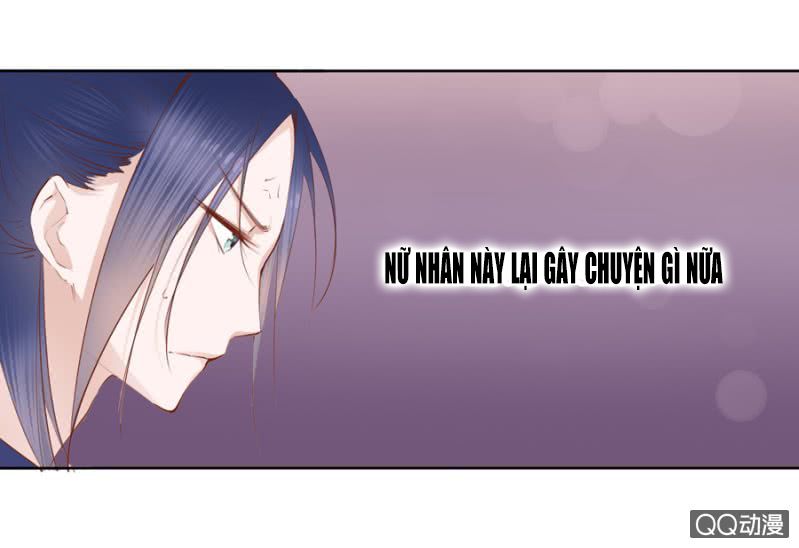 solo đi vương gia chapter 5 9