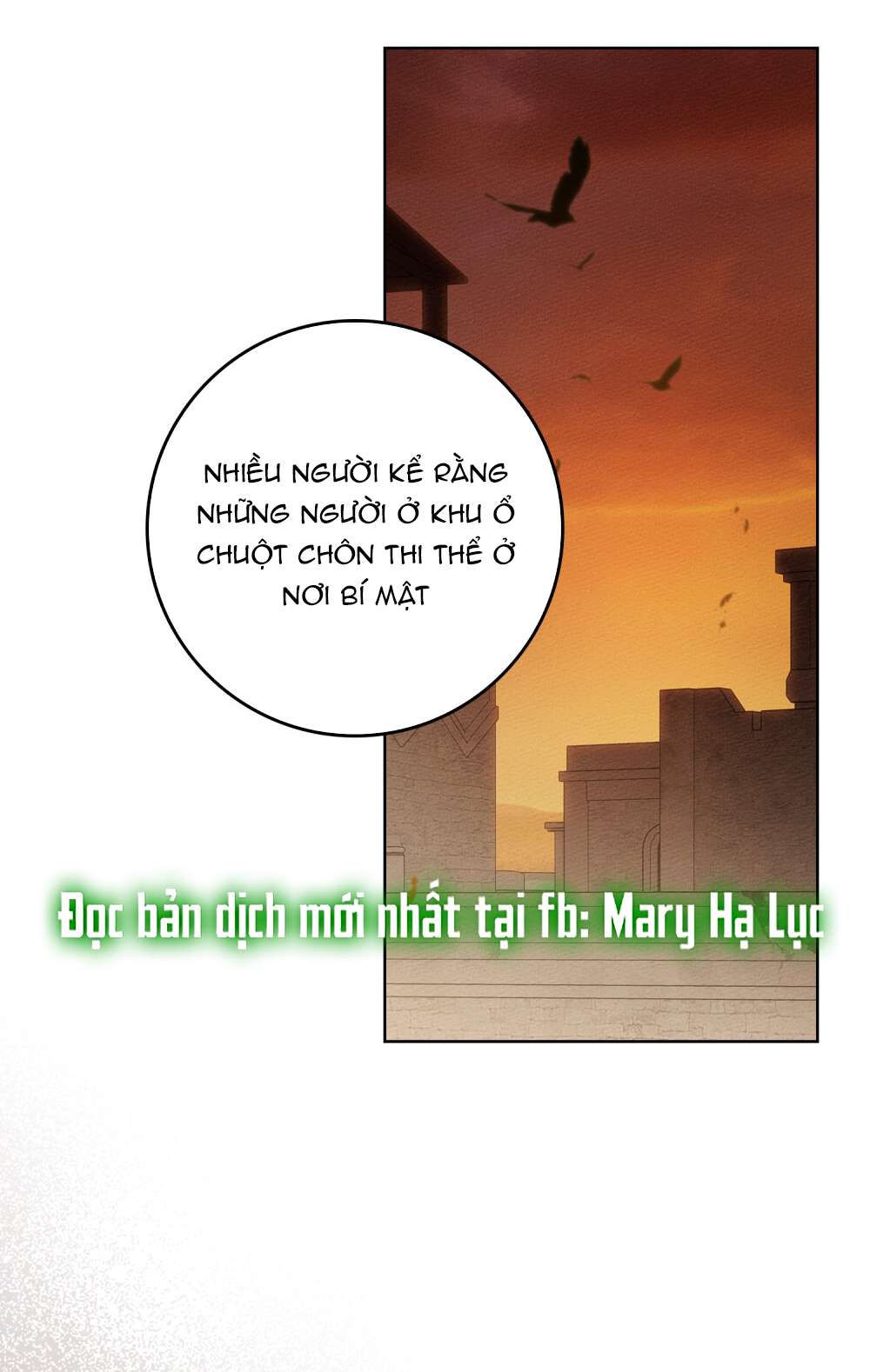 Dưới Bóng Cây Sồi chapter 116.2 41