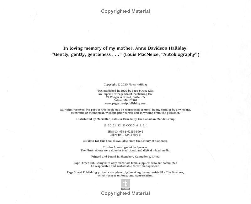 Sách ngoại văn: Numeria And The Hurricane - Inspired By A True Migration Story