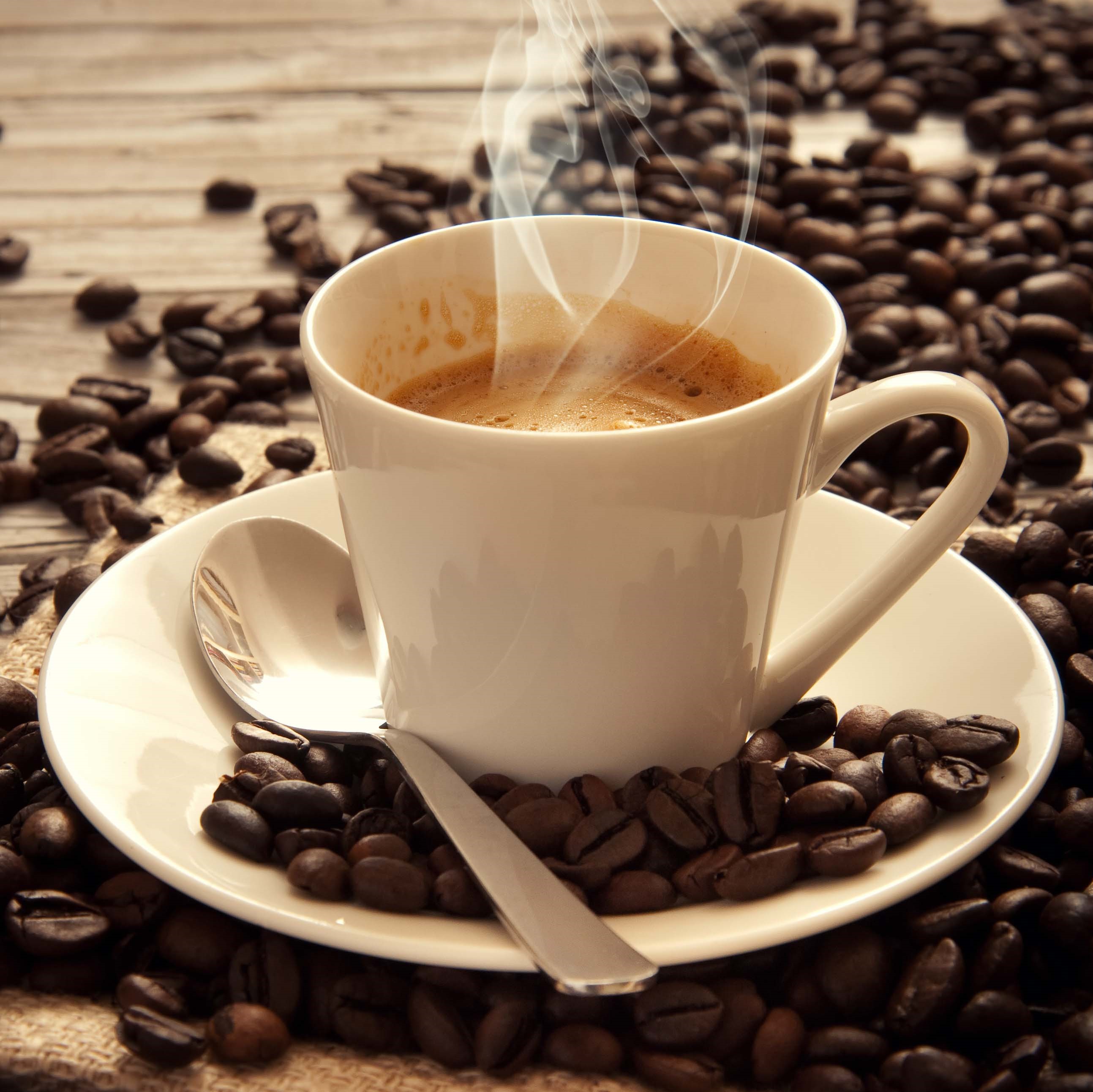 Tặng Phin Cà phê Inox khi mua 1KG Cà Phê Pha Phin hiệu DK HARVEST Gu Vừa - 80% Robusta, 20% Arabica