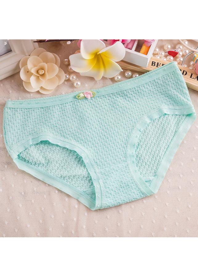 Combo 5 quần lót nữ Cotton QL 8108-1