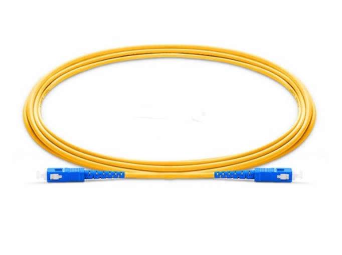 Dây nhảy quang SC UPC to SC UPC Duplex 2m sample - Xmethod Network - Hàng chính hãng