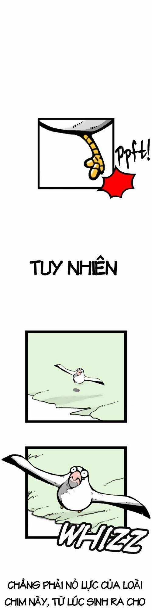 earth, human, and animal chapter 1 16