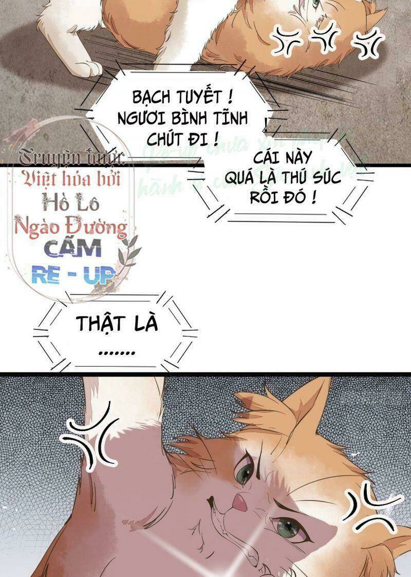 sát thủ vương phi không dễ chọc chapter 35 4