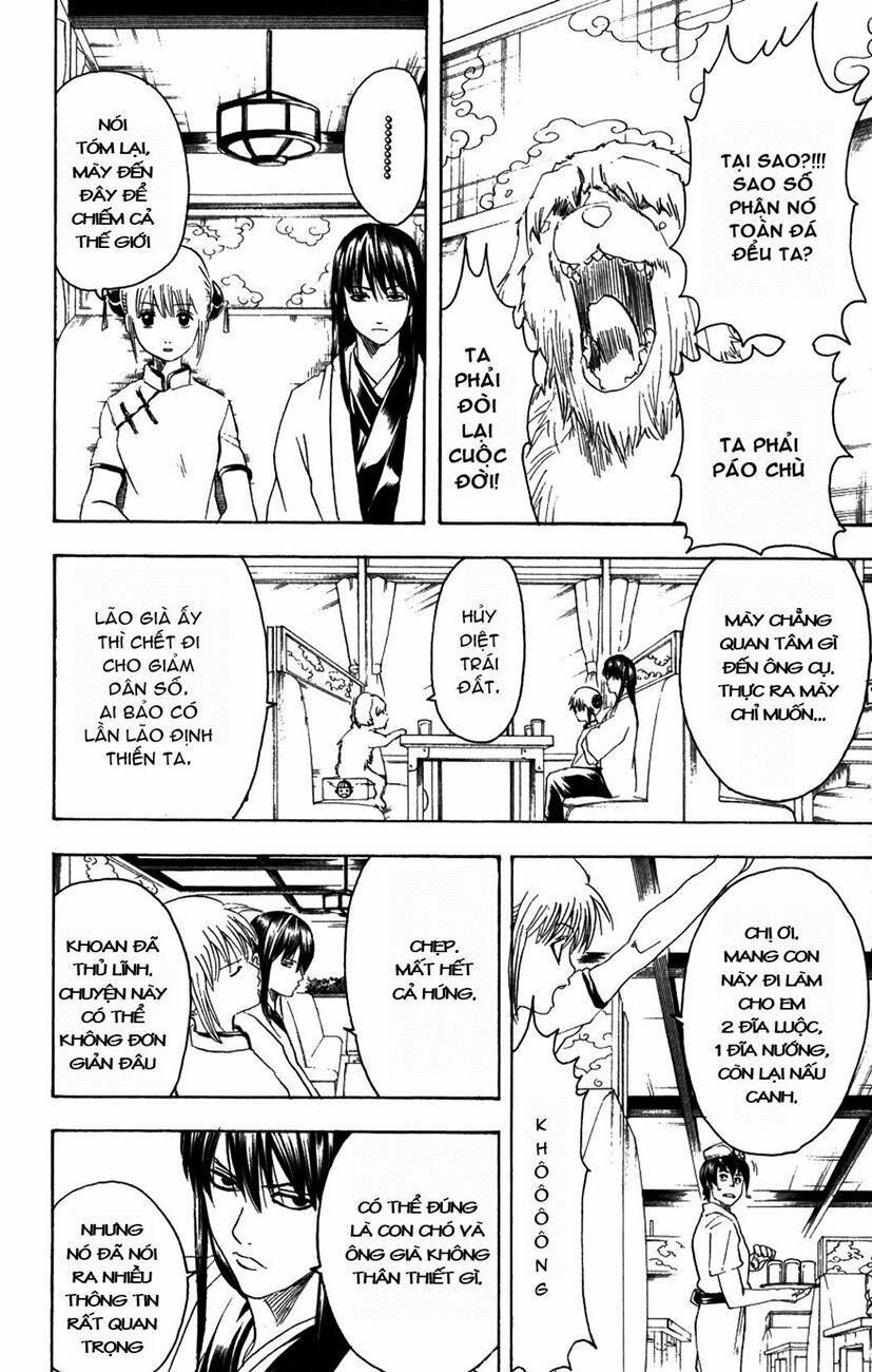 gintama - linh hồn bạc chapter 207 18