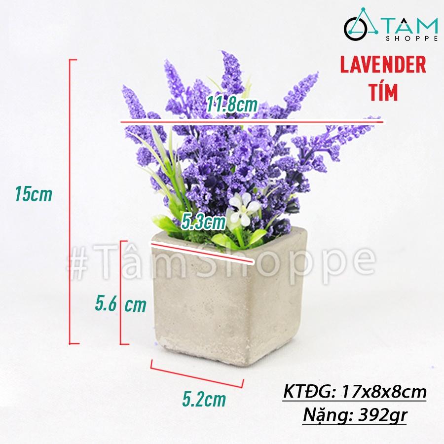 Chậu hoa lavender giả đề bàn hoa xốp chậu xi măng CHDB-105