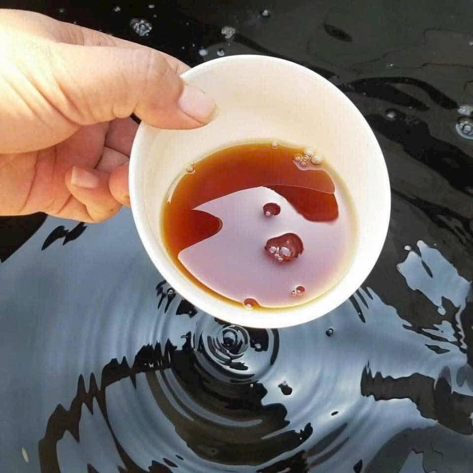 [AnhOtShop] 1L Mắm chắt Nghĩa Hưng Nam Định, Mắm Chắt Nhà Làm, Làm Quà Biếu, Tặng Tết