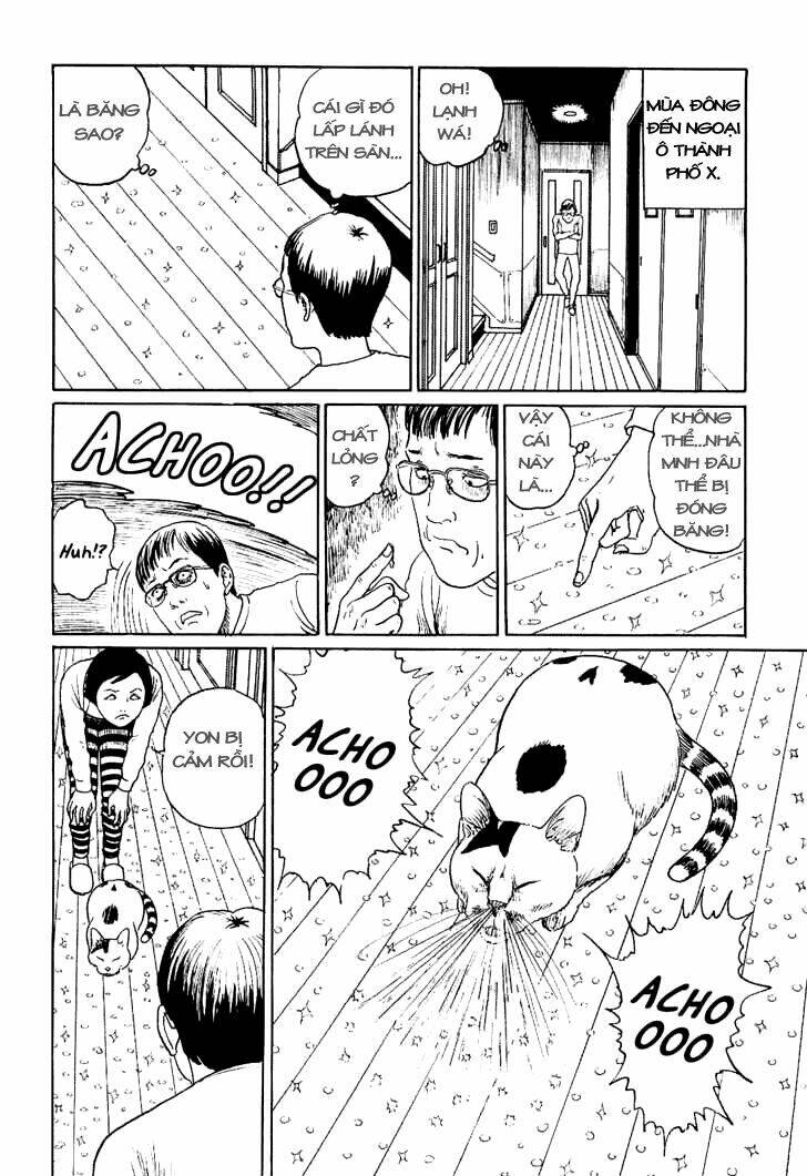 ito junji cat's diary chapter 10 6
