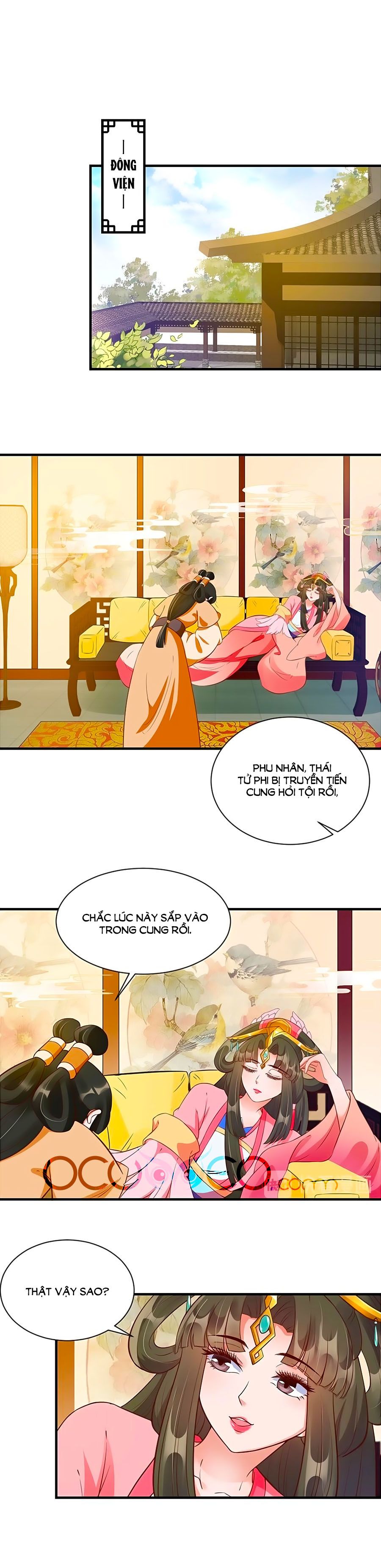 thịnh thế lê hoa điện chapter 73 1