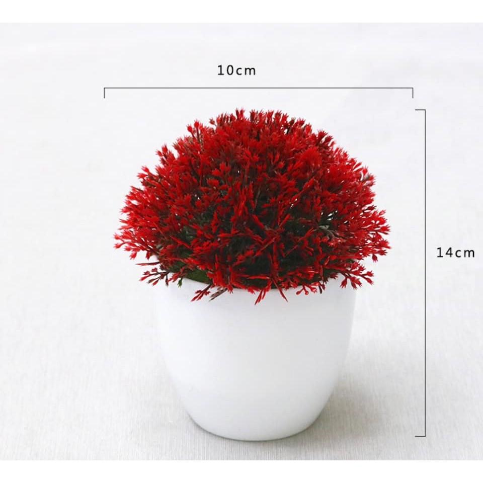 Chậu cây xanh nhân tạo để bàn trang trí, để kệ tủ độc đáo 10cm x 14cm (chọn màu