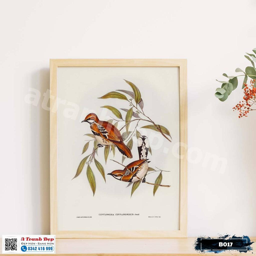 Tranh Canvas minh họa loài chim sẻ phong cách cổ điển - B017