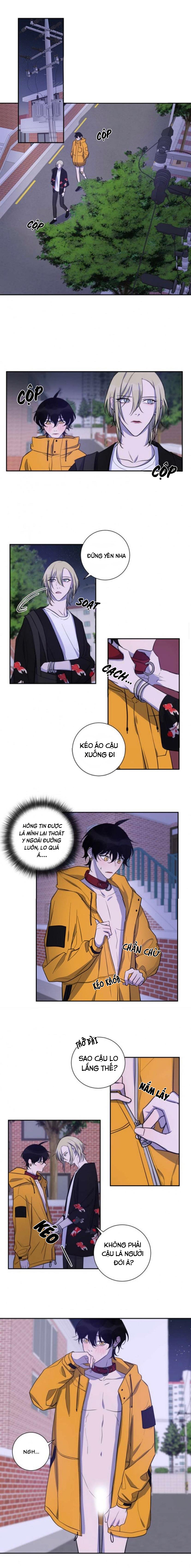 xu hướng tình dục bạn học chapter 24 4