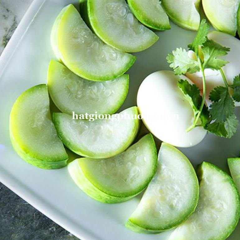 10H - HẠT GIỐNG BẦU DÀI