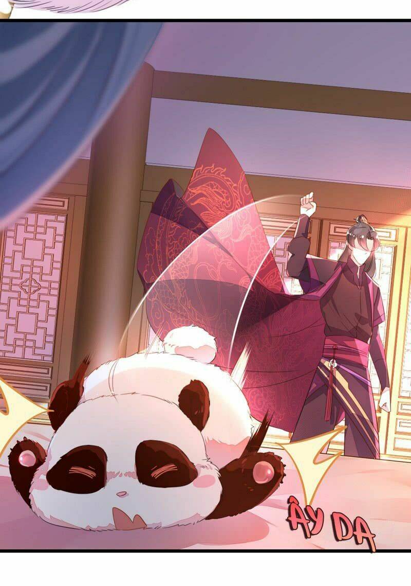 thiên thần gấu trúc muốn được ôm chapter 9 10