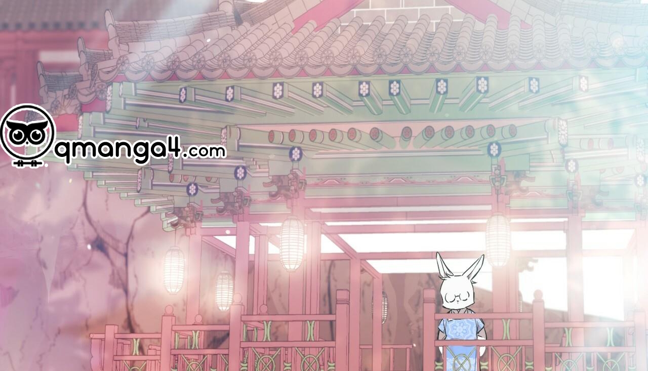 những chú thỏ của hapypy chapter 56 239