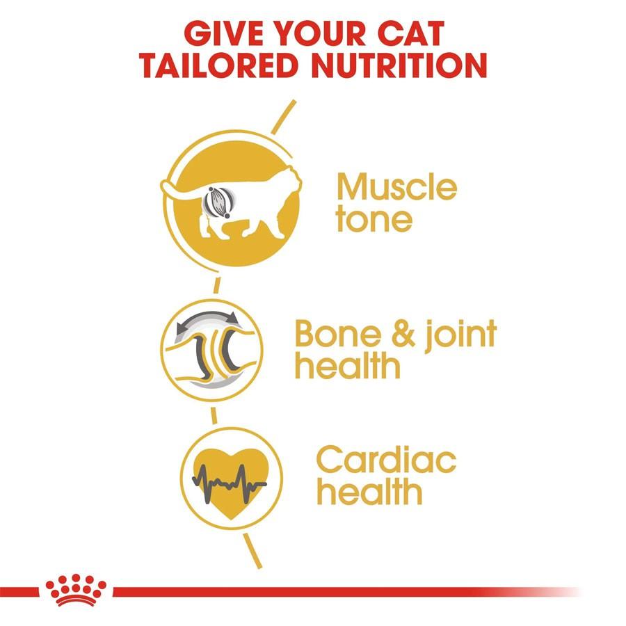 Hạt Royal Canin British Shorthair Adult Cho Mèo Lớn Anh Lông Ngắn Trưởng Thành