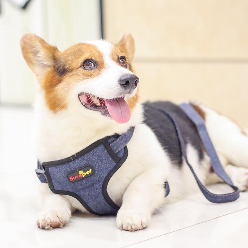 Giá thấp nhất Phương pháp Corgi mới của Amazon dây xích dắt chó vừa và nhỏ xích xích chó dây đeo ngực denim bộ dây xích