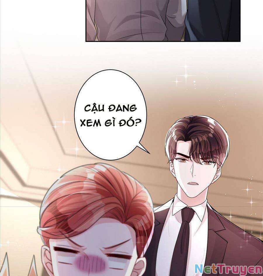 tổng tài huyết tộc cực sủng cô vợ mỹ nhân ngư chapter 23 22