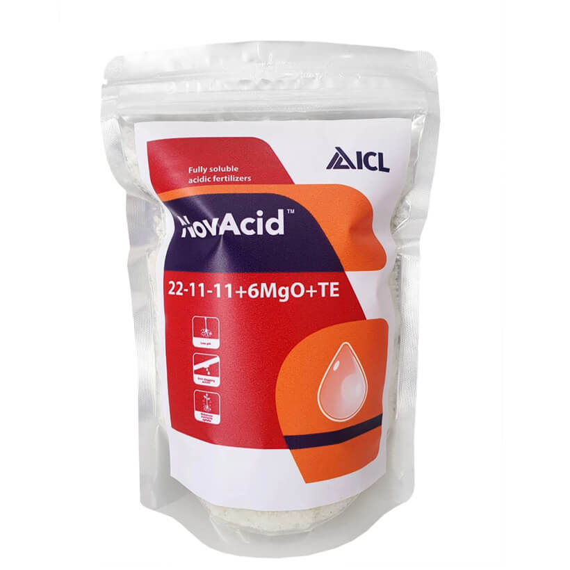 Phân bón hòa tan Israel NPK NovAcid 22-11-11+6MgO+Te giúp thúc cây bung chồi non đồng loạt, tăng kích cở trái thông qua hệ thống tưới nhỏ giọt bón gốc hay phun lên lá