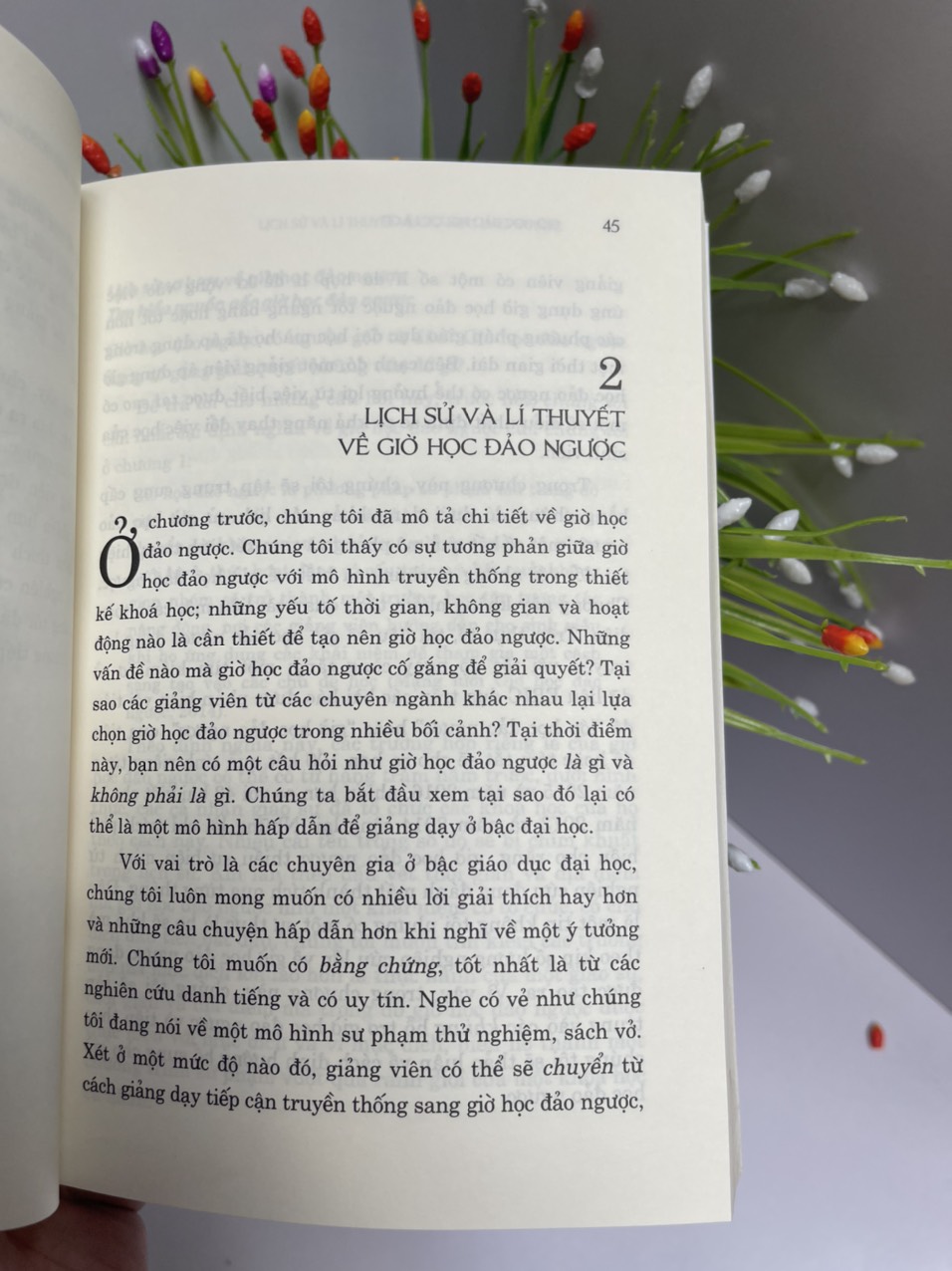 GIỜ HỌC ĐẢO NGƯỢC - Hướng dẫn dành cho cơ sở giáo dục đại học – Robert Talbert – Vũ Thúy Nga, Hoàng Liên (dịch) - NXB ĐH Sư phạm