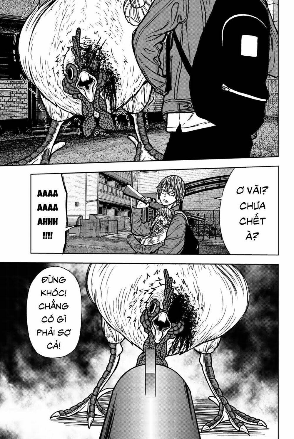 tiếng gáy sát thủ chapter 55 13