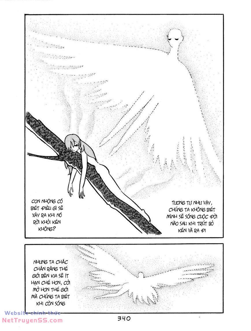 buddha - truyền thuyết đức phật chapter 69 20