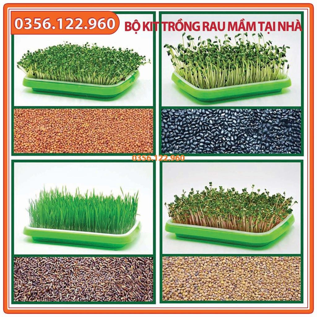 Bộ kit Kệ Khay trồng rau mầm 5 khay, 5 tầng bao gồm: Giá đỡ có 4 bánh + 5 Khay trồng + 500g Hạt giống + Vòi xịt nước.