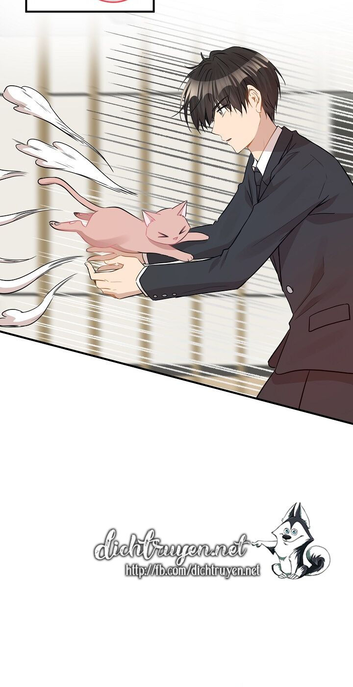 cuộc sống kỳ thú chapter 28 10