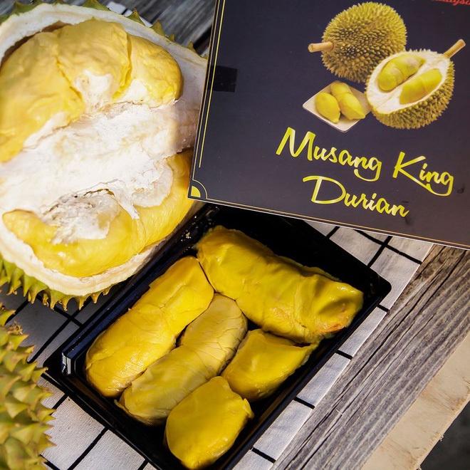Cây giống Sầu Riêng Musang King cây ghép .