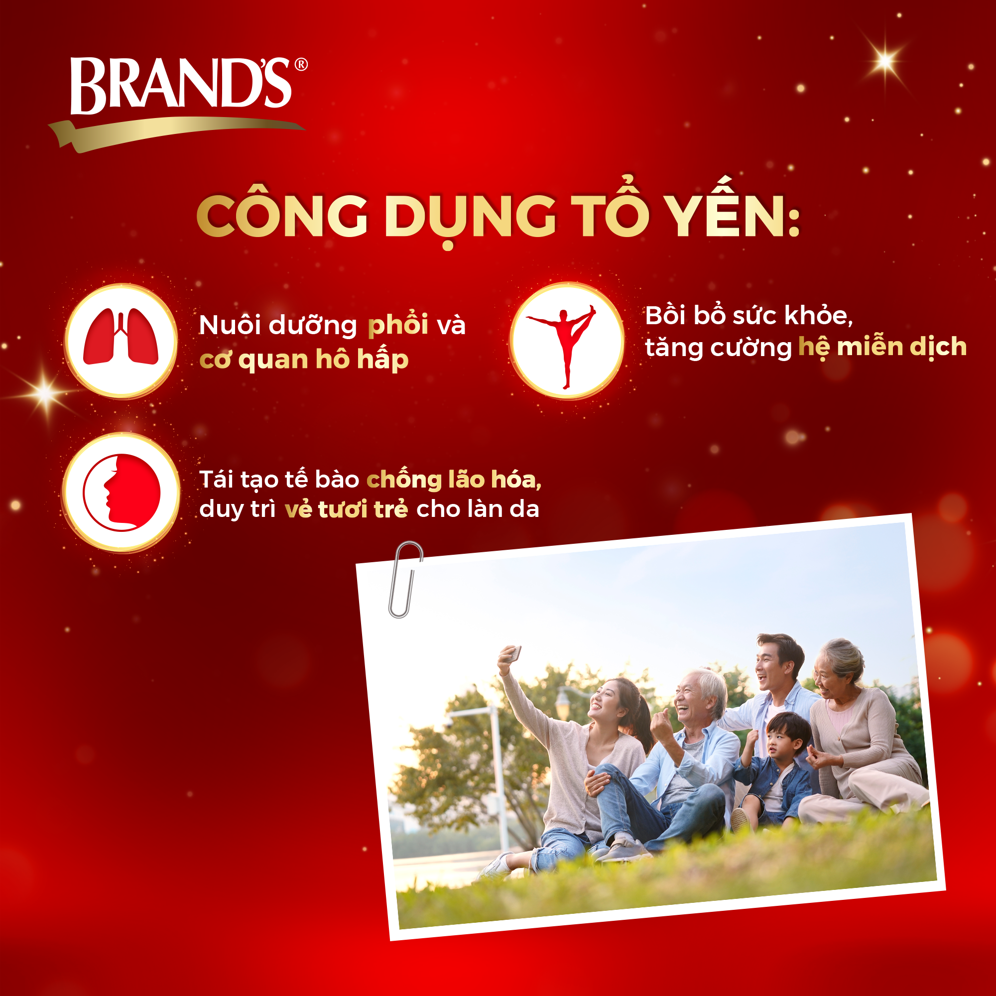 Combo 3 Nước yến thật BRAND'S Đường Phèn