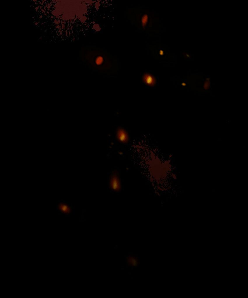 bạn gái tôi mới 30+ tuổi xuân chapter 1 30