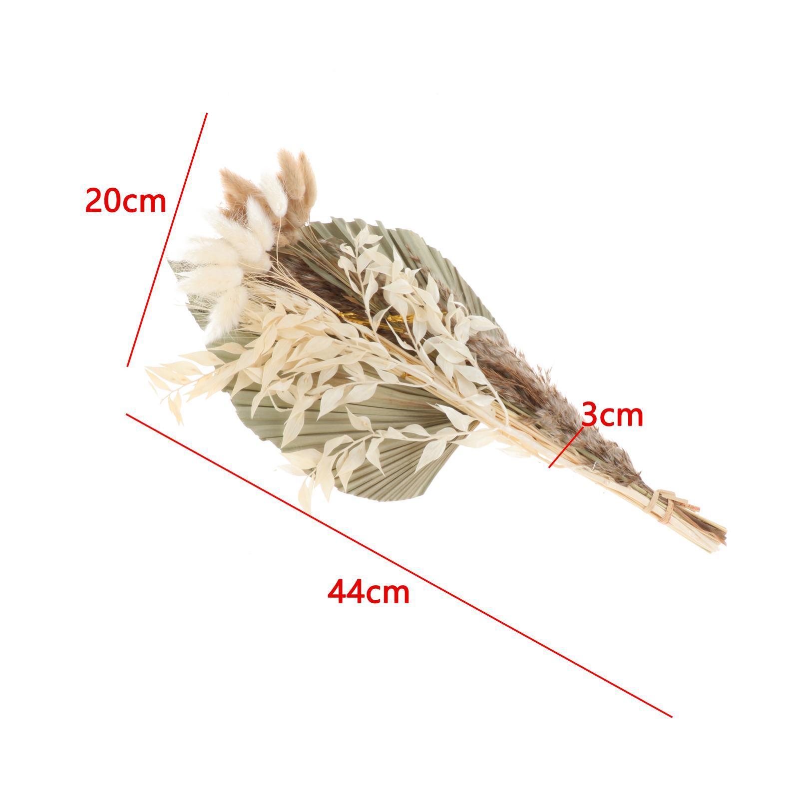 Dried Palm Leaves Pampas Grass Bundle Palm Spears Branches for Wedding