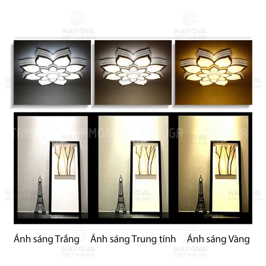 Đèn Mâm Ốp Trần Hiện Đại Led Trang Trí DCH 0904 Đường kính 700mm 3 chế độ Ánh sáng