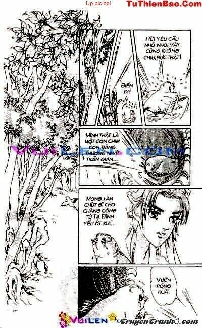 đóa hoa yêu kiều chapter 1 15