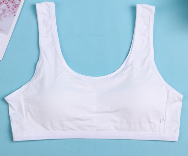 Bra / Áo Lá Nữ Sinh Cotton Tinh Khiết MILK Xuất Đông Hàng Loại Đẹp.