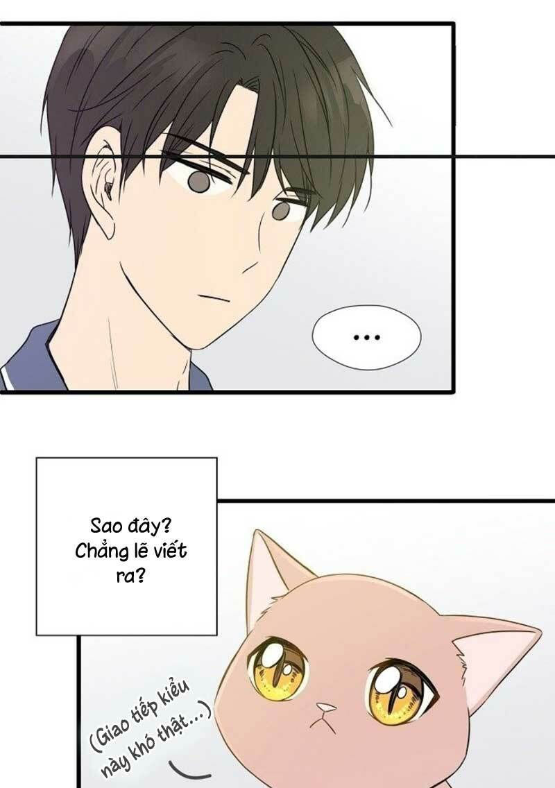 cuộc sống kỳ thú chapter 2 43