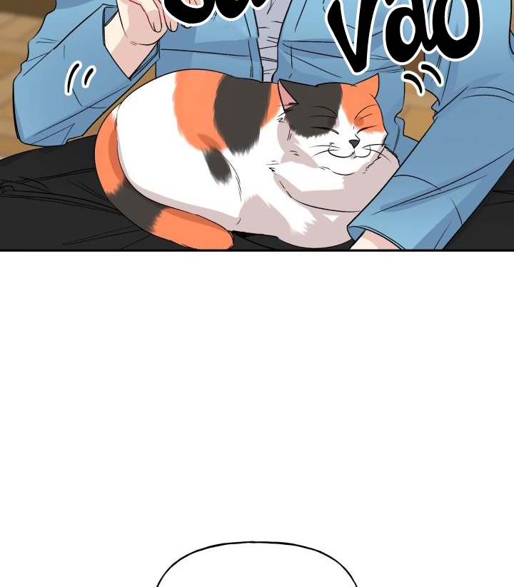 xác suất tình yêu chapter 56 72