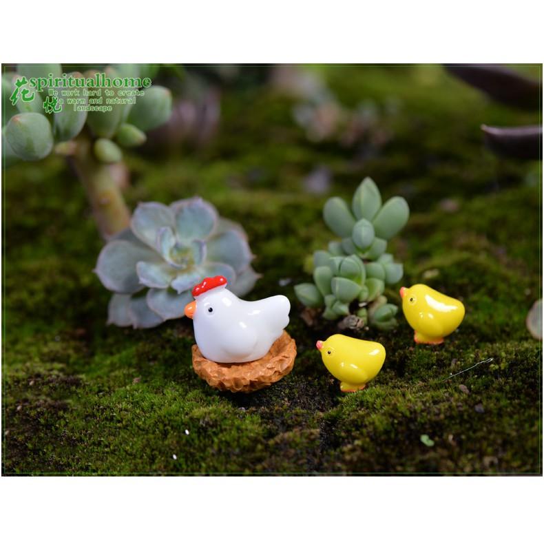 Tiểu cảnh Terrarium ️ Gia đình gà con tiểu cảnh trang trí sen đá, sân vườn, bể cá, bể terrarium