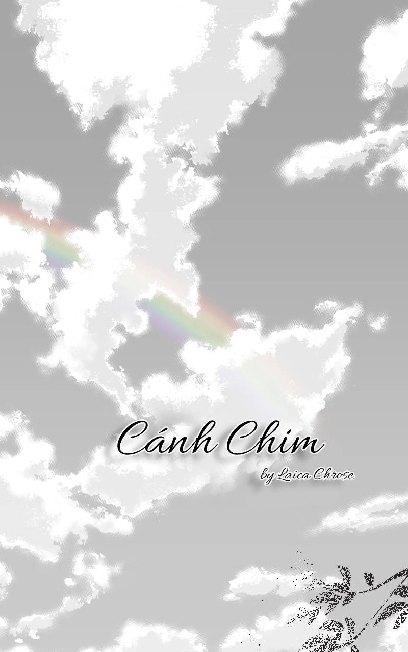 cánh chim chapter 9 1