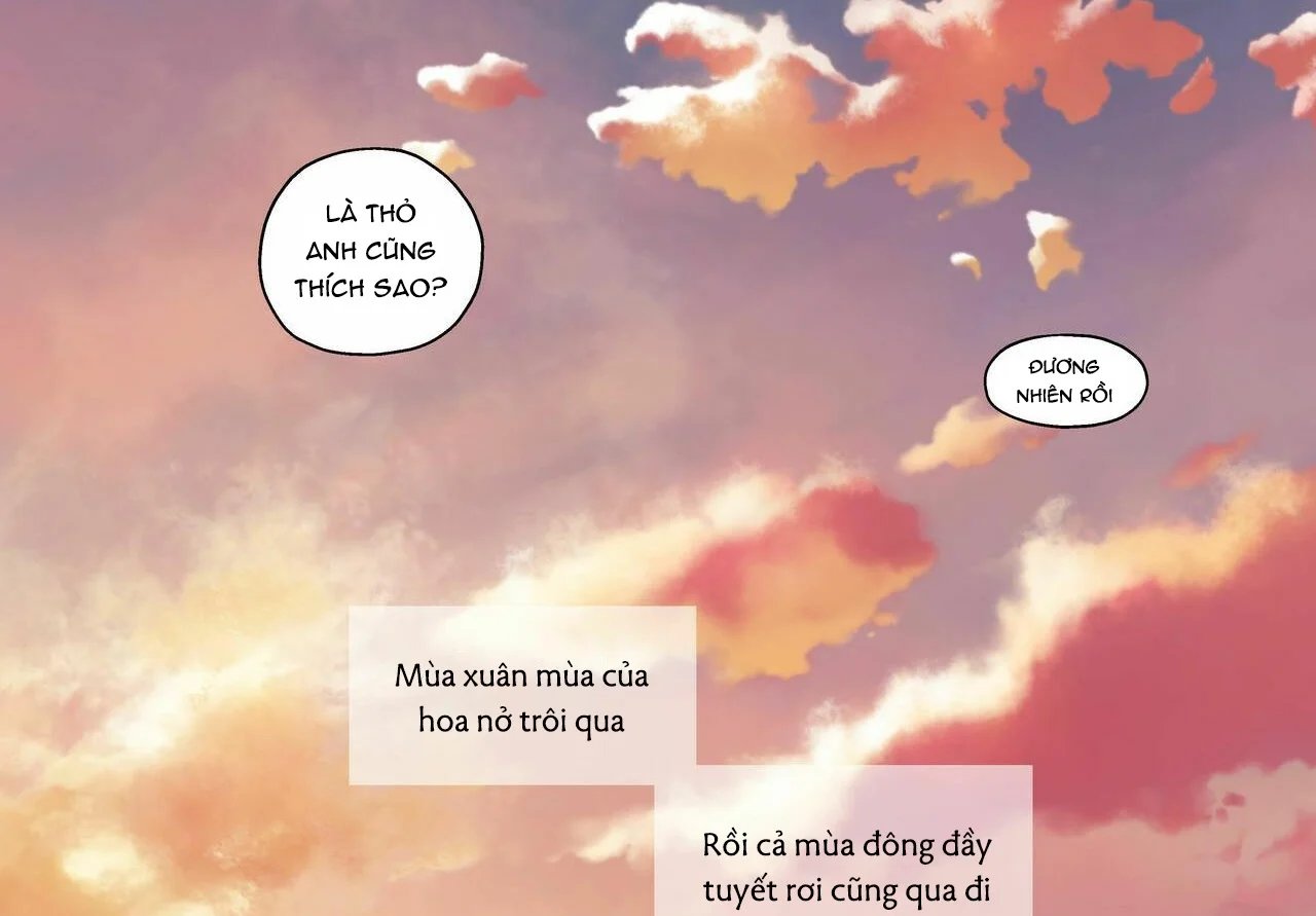 không chốn yêu đương chapter 81 110