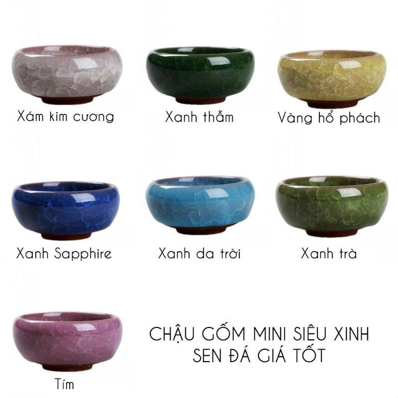 Chậu trồng cây gốm sứ mini cao cấp, chậu cây mini men rạn phủ bóng, trồng sen đá, xương rồng cẩm nhung để bàn