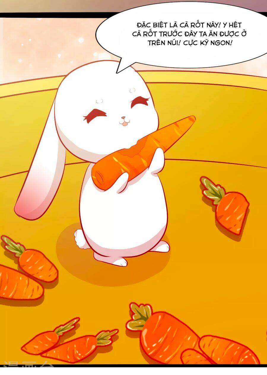 thỏ yêu tiểu vương phi chapter 50 3