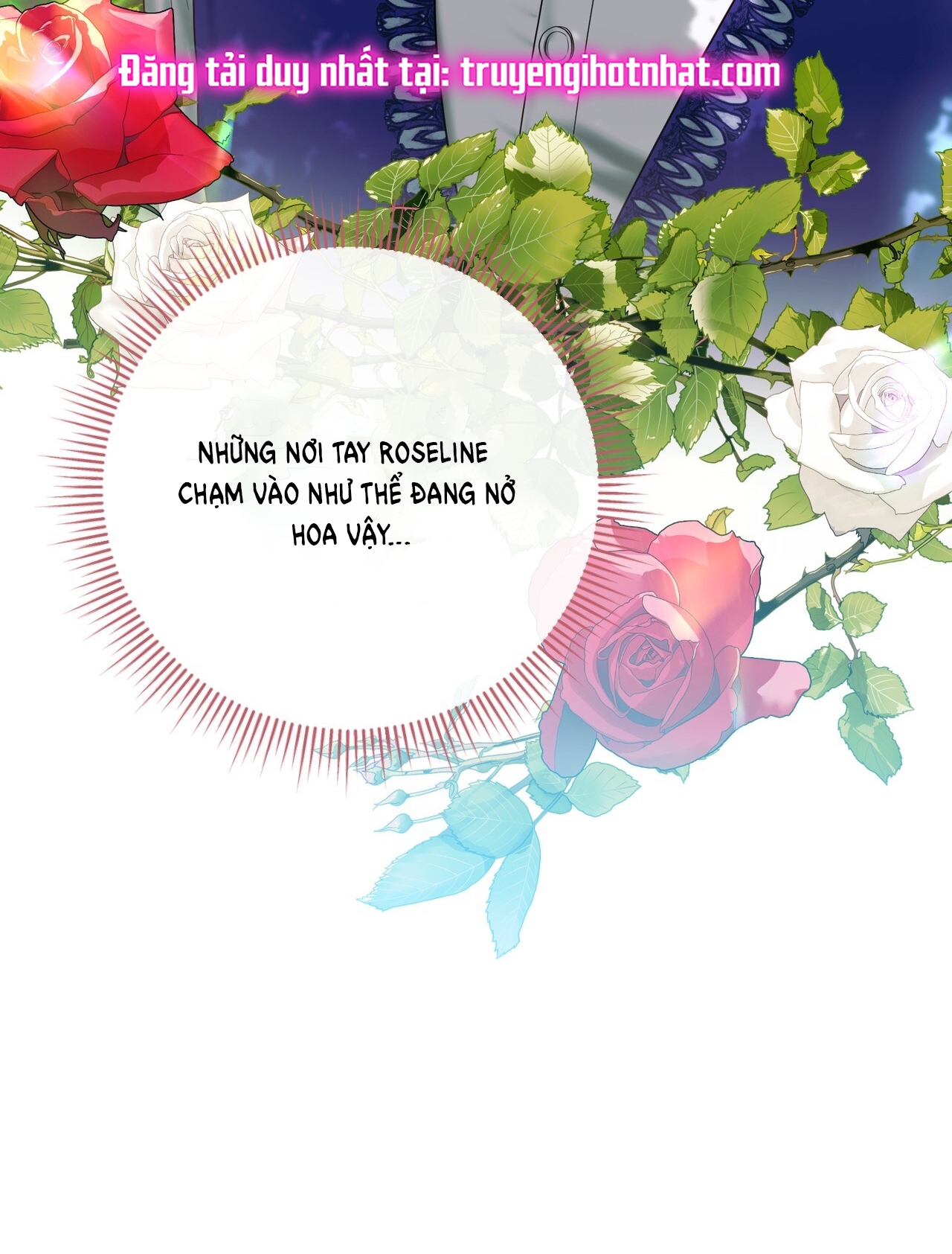 hợp đồng hôn nhân với hai người chồng chapter 12.2 47