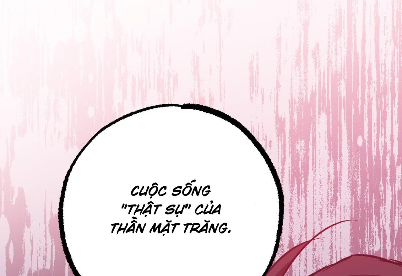 những chú thỏ của hapypy chapter 59 275