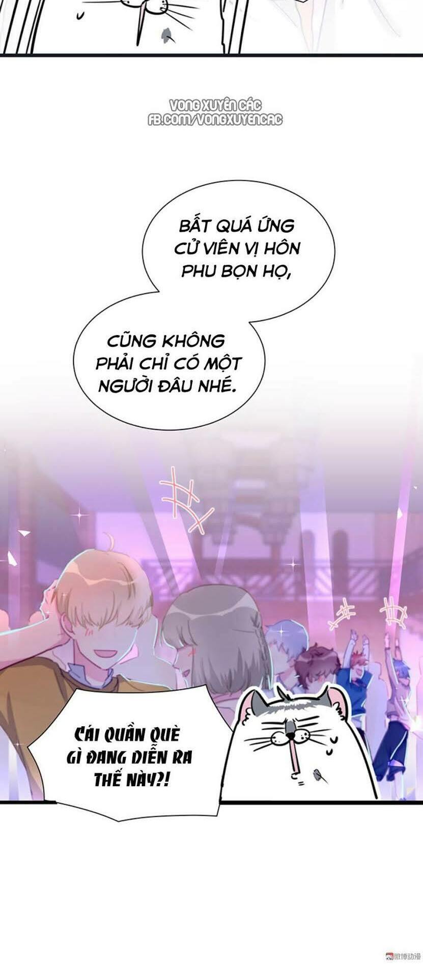 ứng cử viên hôn phu của ta chapter 1 11