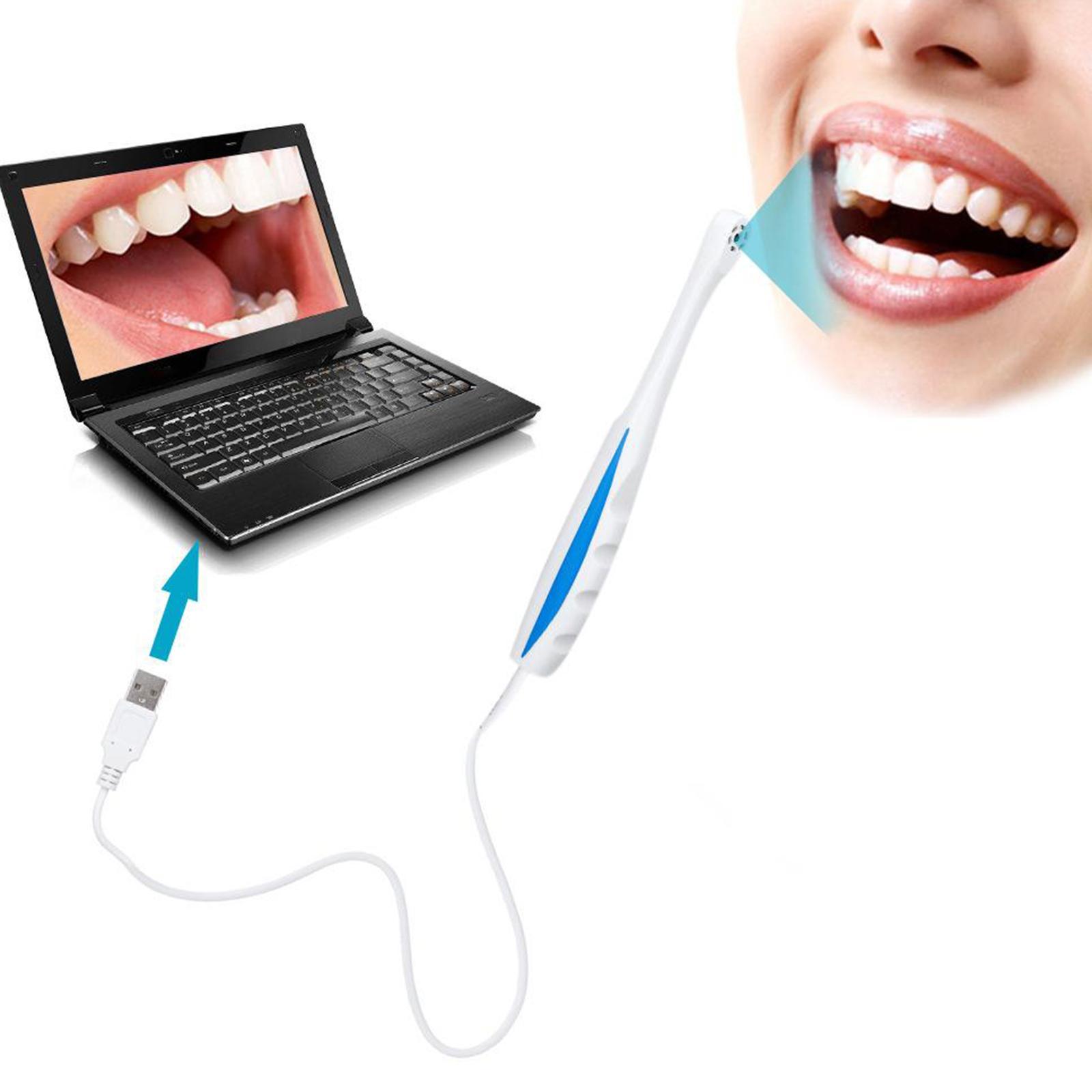 5MP Intraoral Inspection Camera Endoscope  Driver 6 LED + Software CD
