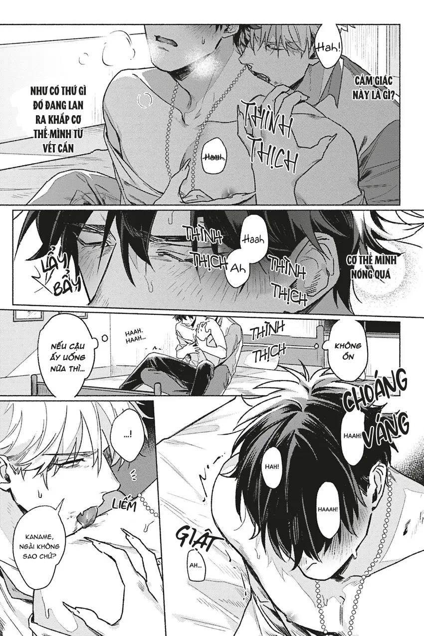 dòng máu bạch kim chapter 3 15