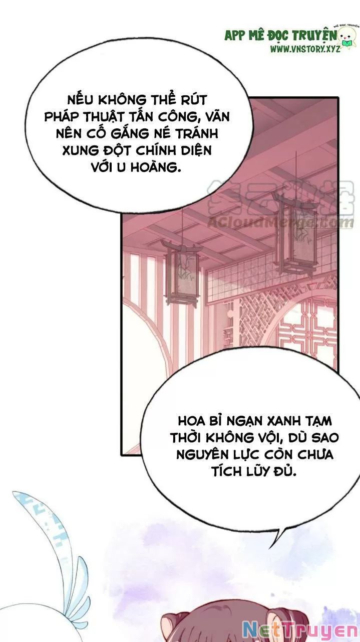 lại bị bệnh chiều chuộng quấn lấy chapter 36 11